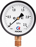 Манометр Росма TM-310P Dy 63 с нижним подключением 1/4 , 0-10 бар