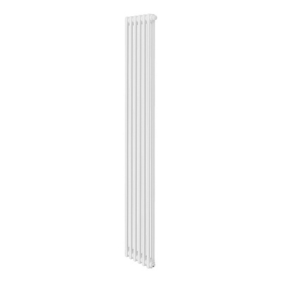 Стальной трубчатый радиатор отопления Royal Thermo Insignia VC2180 - 06 секции (белый)